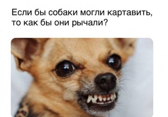 Вопросы из серии И тут я задумался