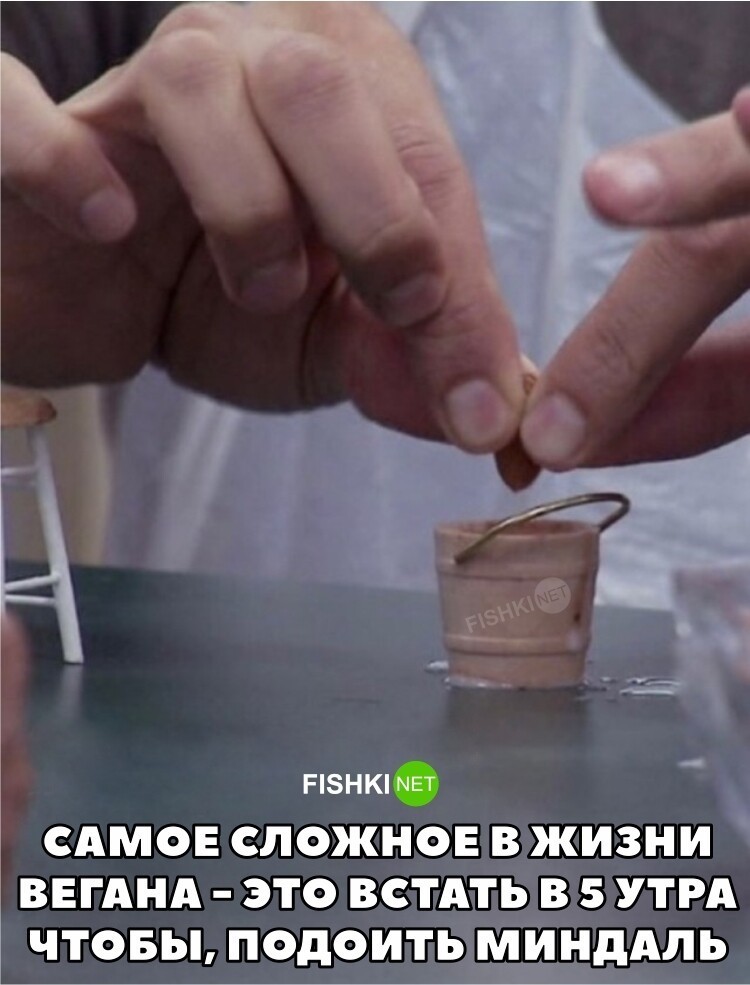 Почему веганы на самом деле ничего не меняют