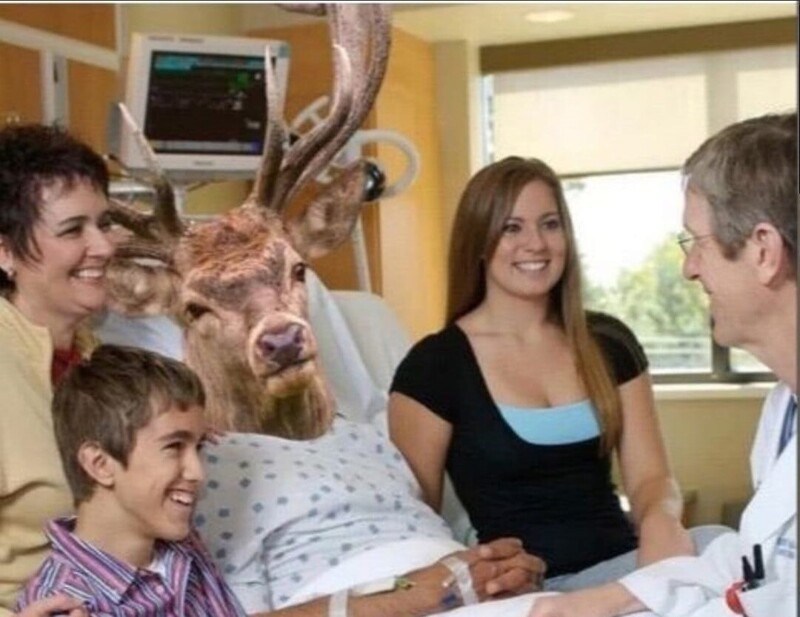 Так, видимо, должны умирать животные в дикой природе