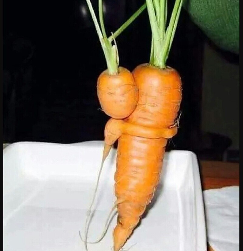 Как можно есть растения после такого кадра?