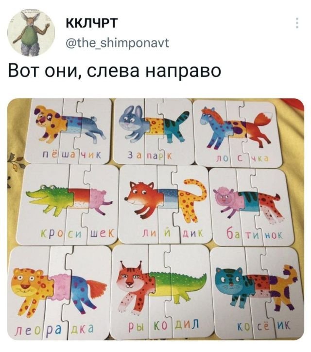 Подборка забавных твитов обо всем