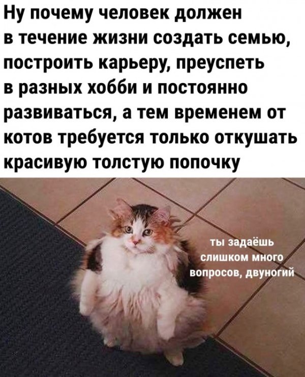 Так себе картинки