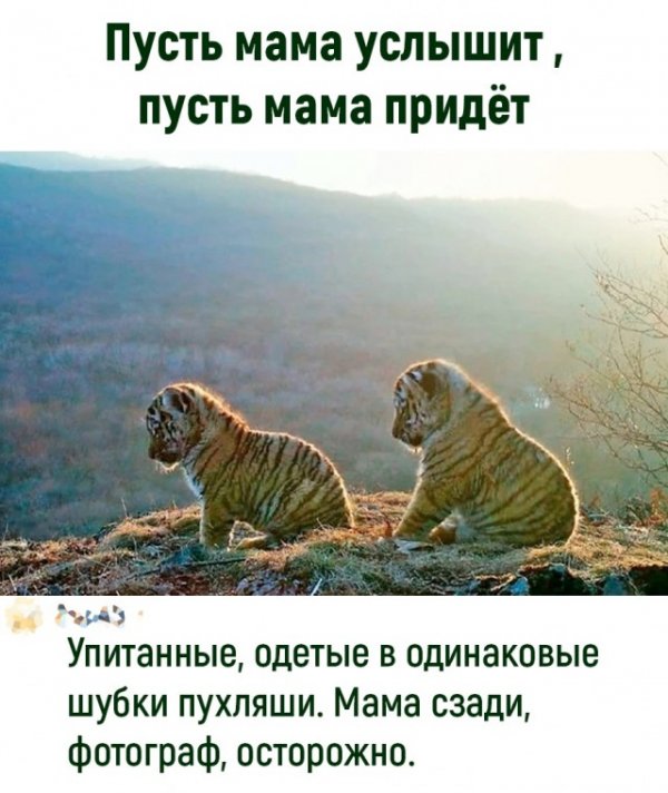 Так себе картинки