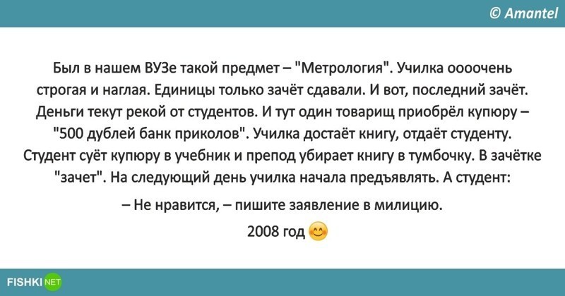 10 студенческих историй, пропитанных голодом, глупостью и плесенью