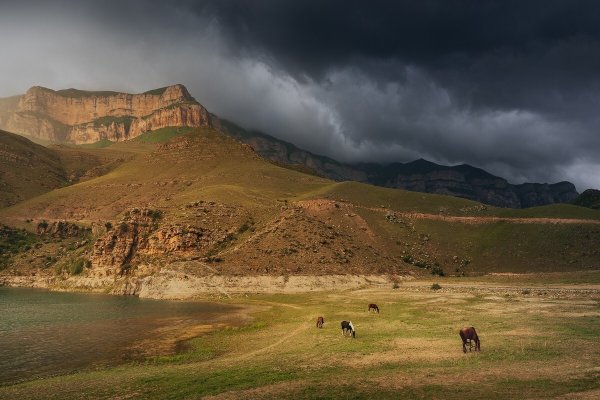 Фотоподборка