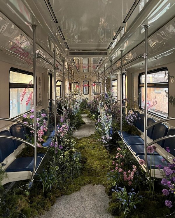 Фотоподборка