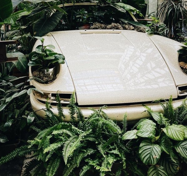 Фотоподборка