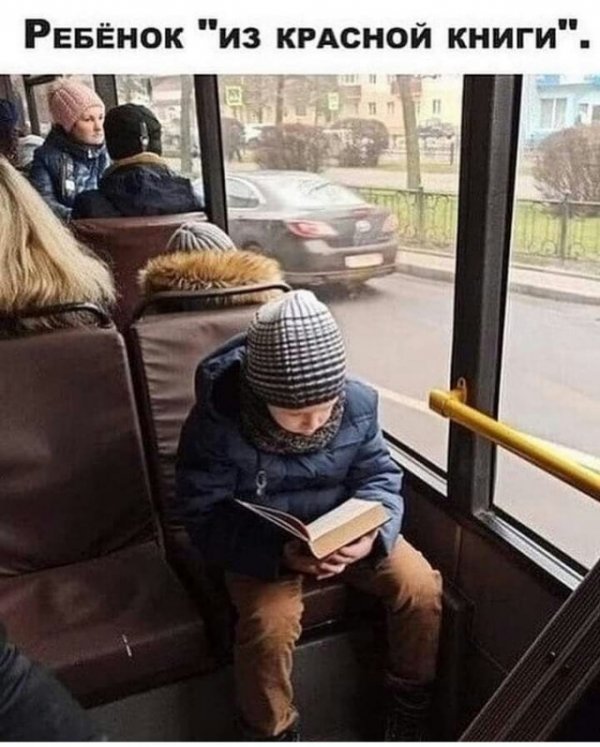 Немного картинок для настроения