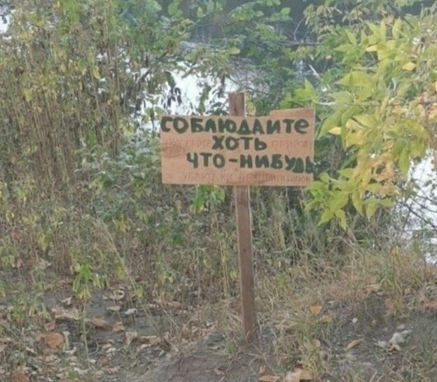 Чёткие таблички и надписи, поднимающие настроение