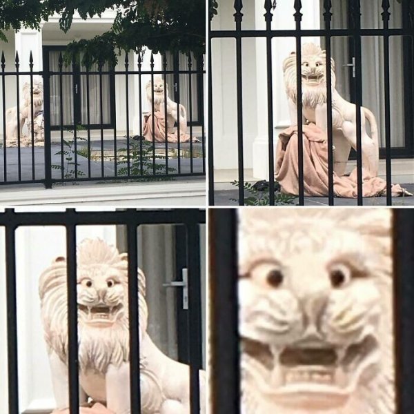 30 лучших снимков из юмористического проекта Уродливые дома Аделаиды