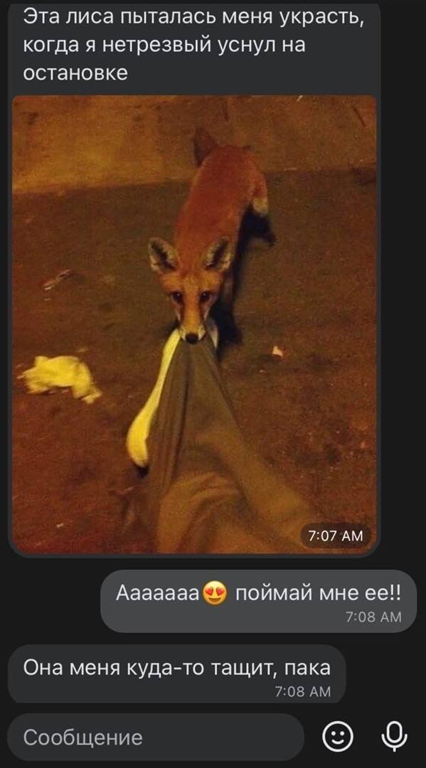 Смешные переписки