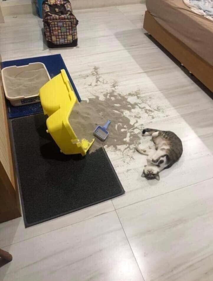 Если не можешь скрыть следы преступления - притворись жертвой