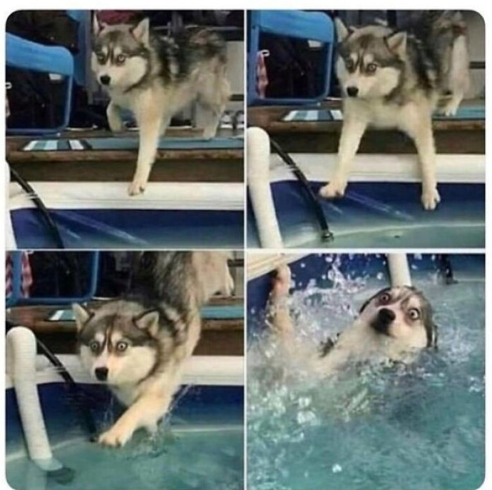 "Ой, это не пол!"