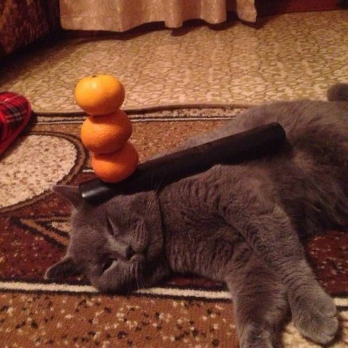 Завидное спокойствие