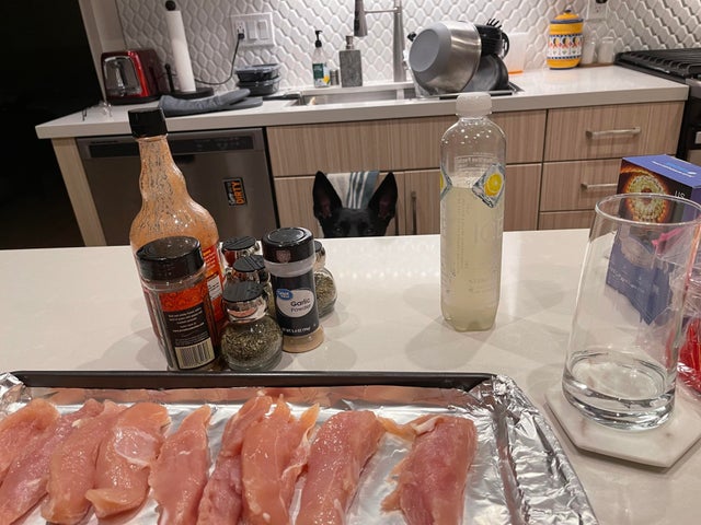 Фотография: Невозможно отказать: 22 фото о том, как животные умеют выпрашивать еду №7 - BigPicture.ru