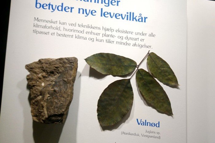 Что находится подо льдами Гренландии