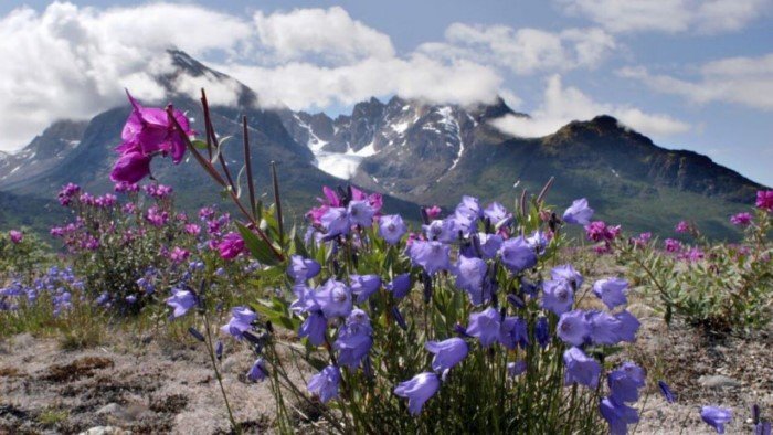 Что находится подо льдами Гренландии