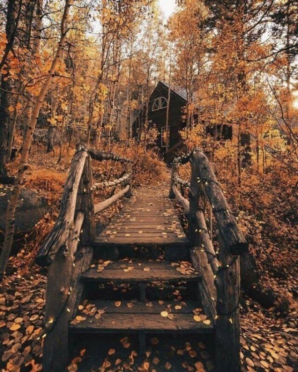 Осень