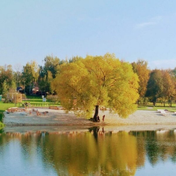 Осень