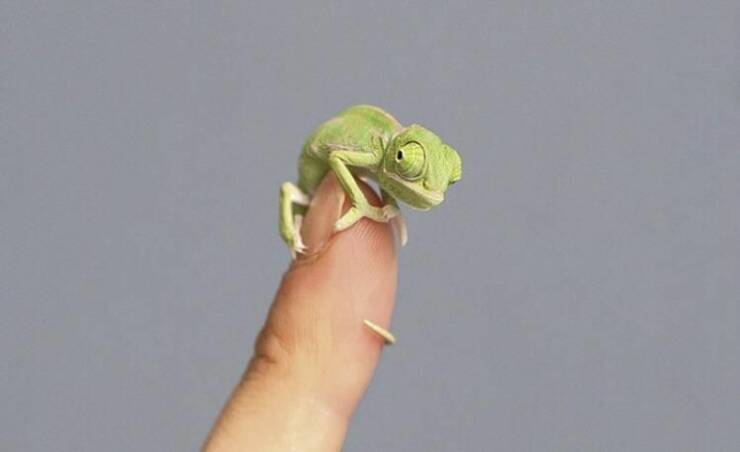 Подборка картинок. Вечерний выпуск (30 фото) - 09.09.2022