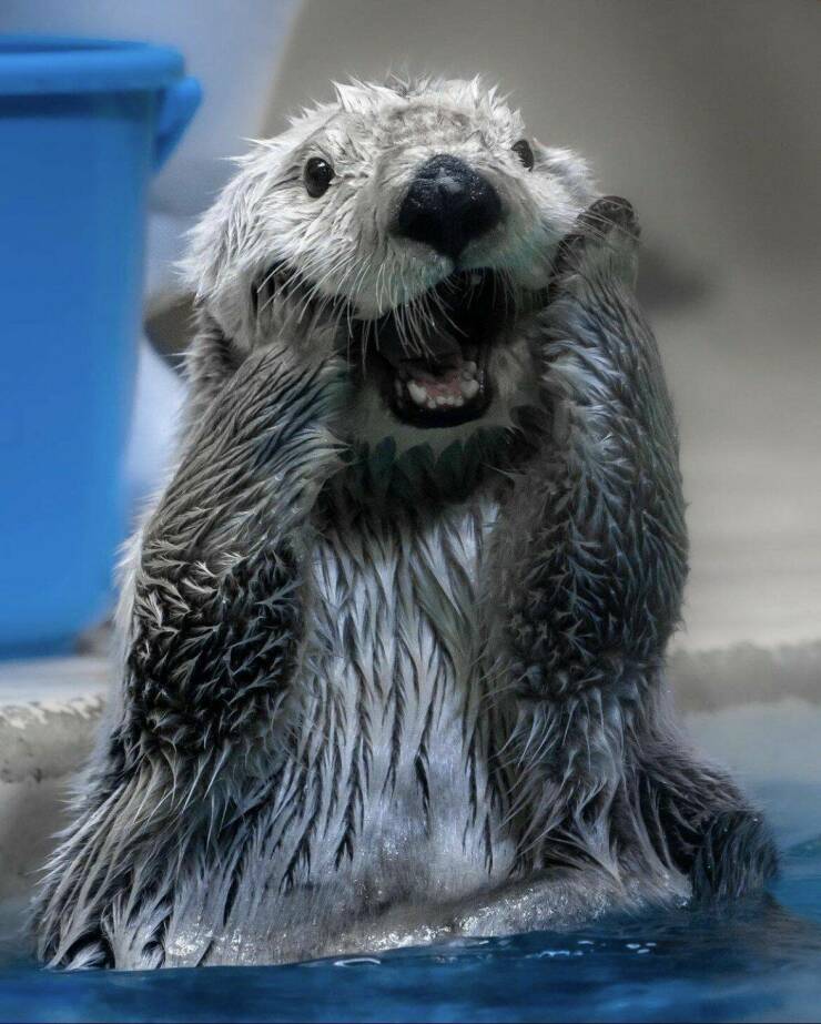 Подборка картинок. Вечерний выпуск (30 фото) - 09.09.2022