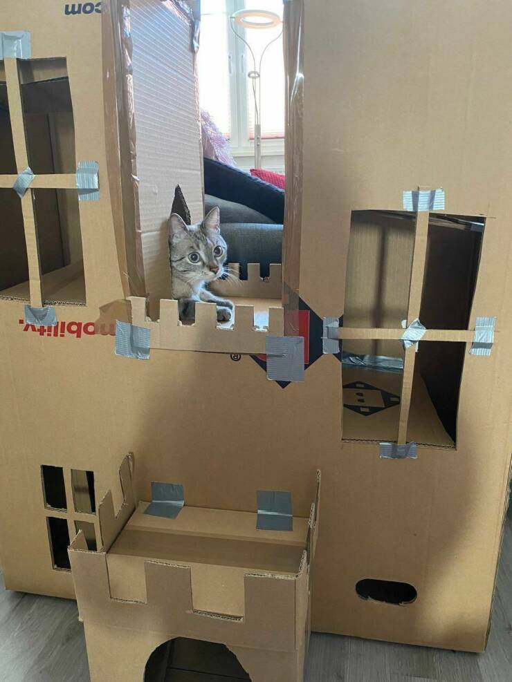 Подборка картинок. Вечерний выпуск (30 фото) - 09.09.2022