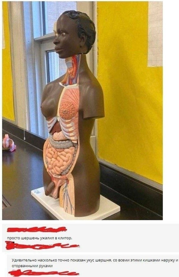 Какая жесть