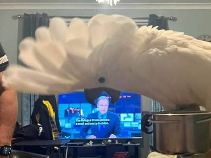 Подборка картинок. Вечерний выпуск (30 фото) - 13.09.2022