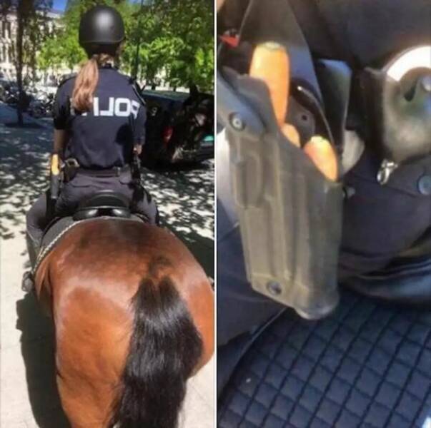 Подборка картинок. Вечерний выпуск (30 фото) - 13.09.2022