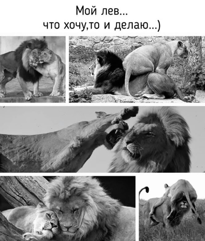 Смешные и познавательные картинки