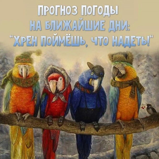 Смешные и познавательные картинки