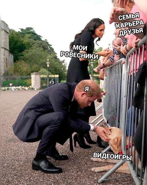 Смешные и познавательные картинки