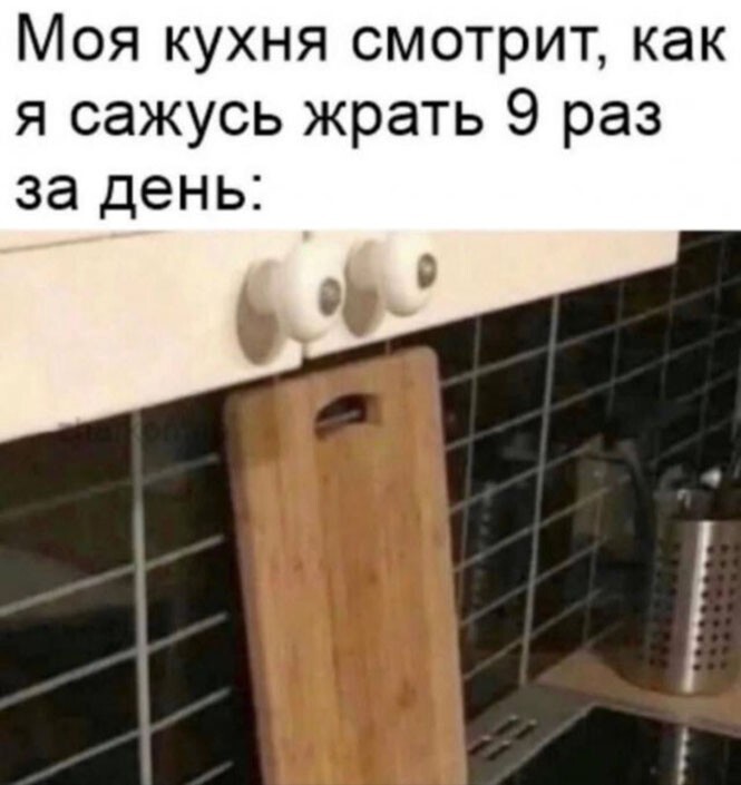 Смешные и познавательные картинки
