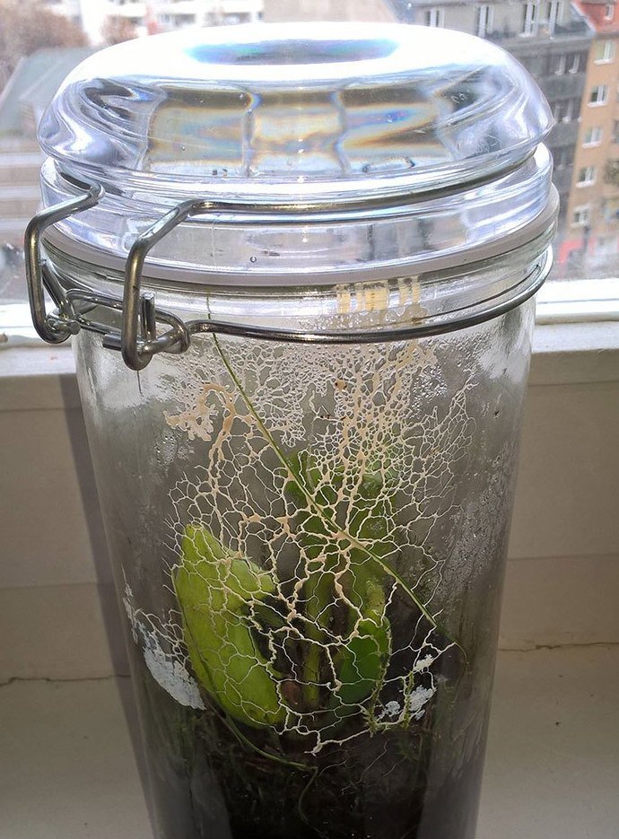 Фотография: 30 недоумевающих людей, которые нашли в интернете ответ на свой вопрос №8 - BigPicture.ru