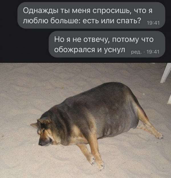 Скрины из соцсетей