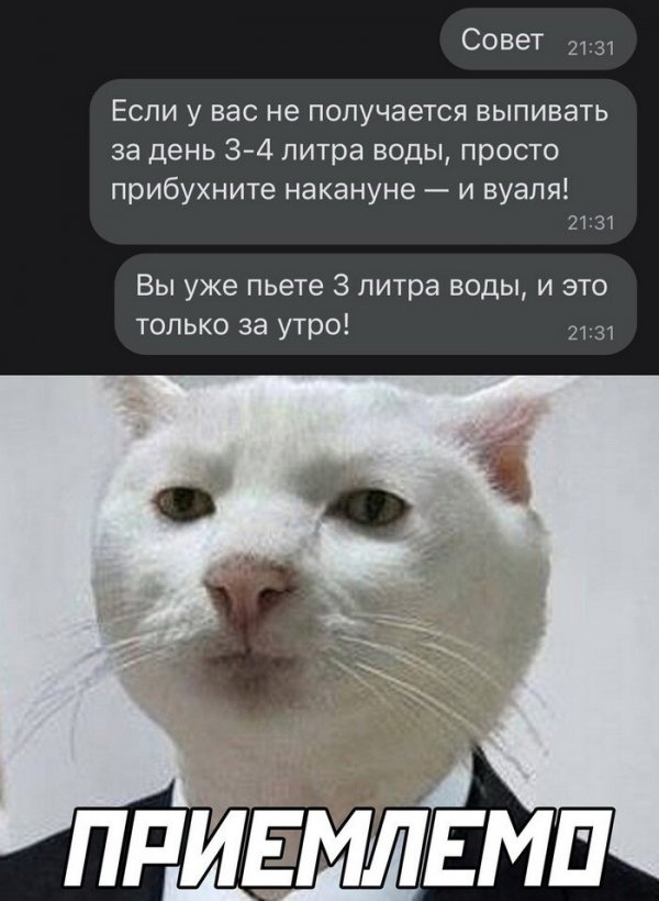 Скрины из соцсетей