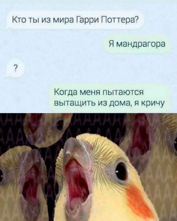 Скрины из соцсетей