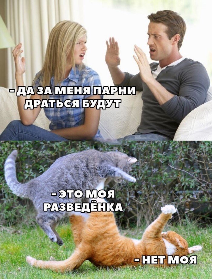 Женский прессинг, или почему многие мужчины так и не женятся