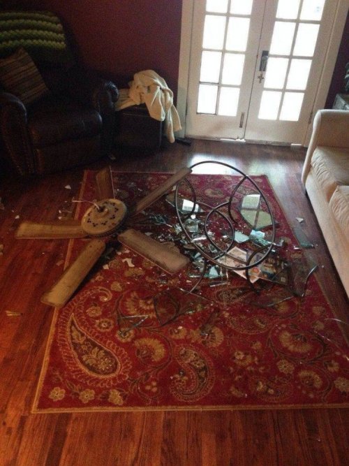 Фотография: Неудачный день: Фото житейских трагедий, которые могут подстерегать каждого №5 - BigPicture.ru