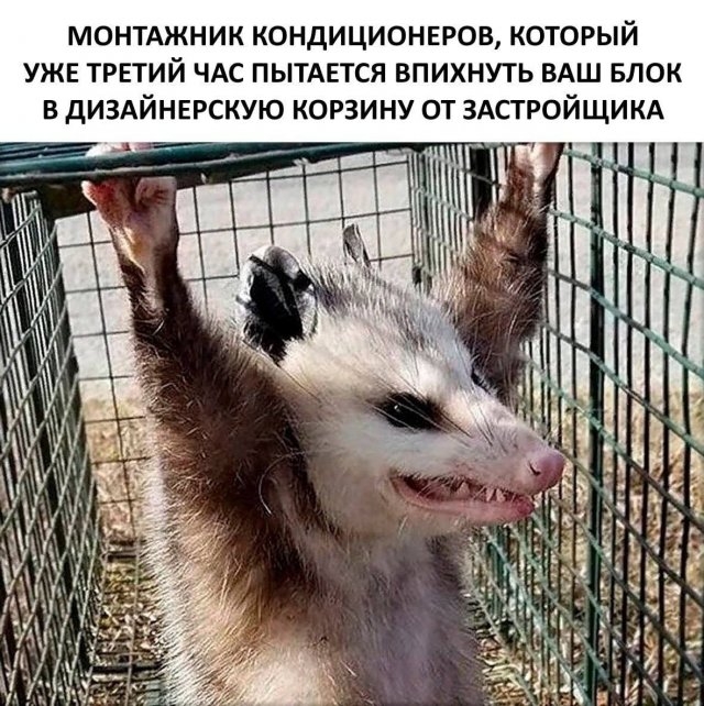 Лучшие шутки и мемы из Сети - 26.09.2022