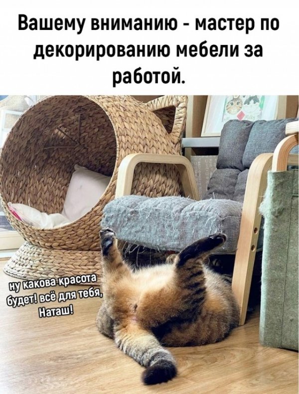 Так себе картинки