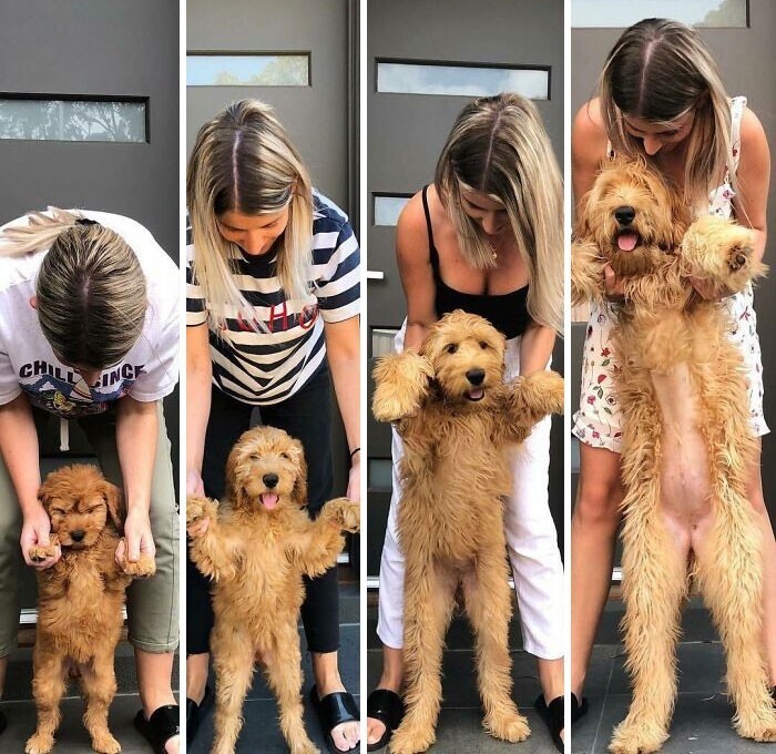 &quot;Они так быстро растут!&quot;