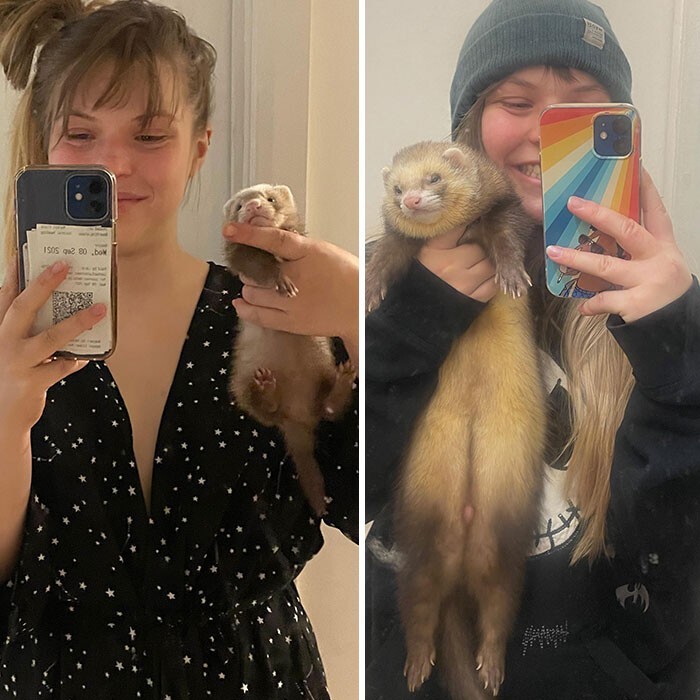 Хорек в 6 недель и в 6 месяцев