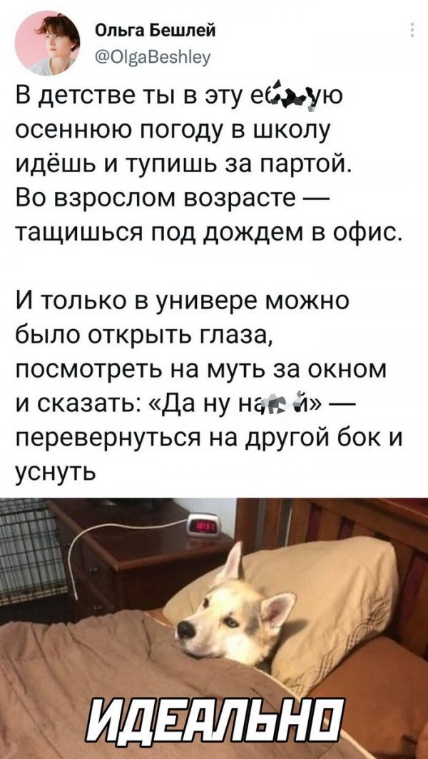 Скрины из соцсетей