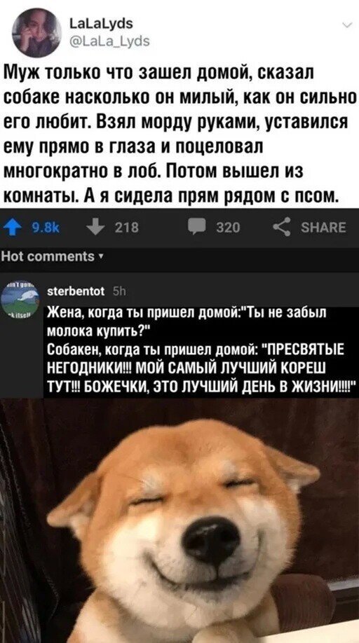 Скрины из соцсетей