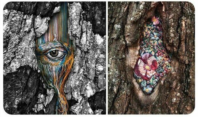 30 фактов, которые вас удивят