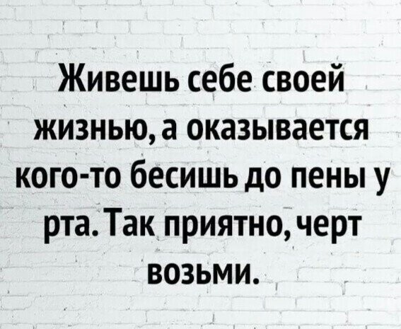Самые смешные мемы. Выпуск № 56