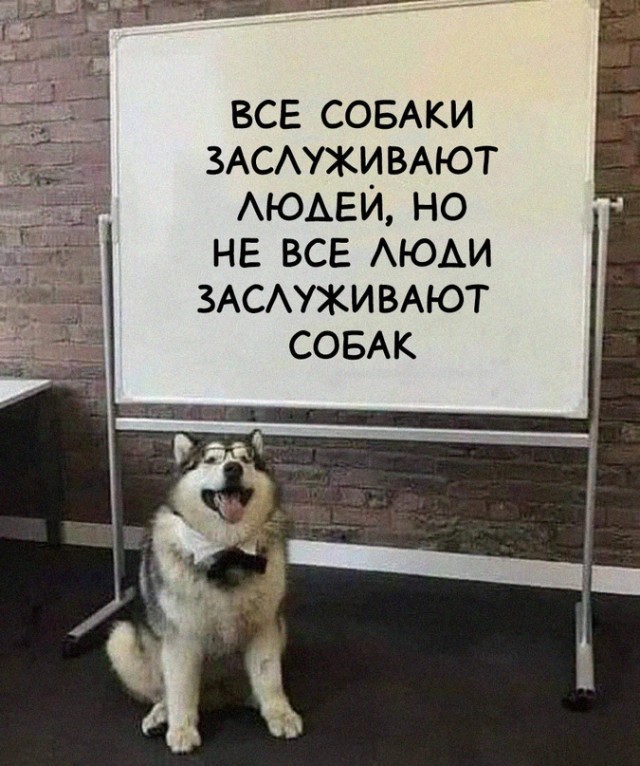 Субботний утренний улыбальник