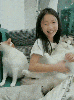 Подборка гифок (25 гифок) - 30.09.2022