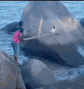 Подборка гифок (25 гифок) - 30.09.2022